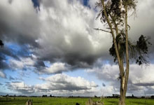 2025年度首场“NB10K城市跑步系列赛”成都站圆满完赛.