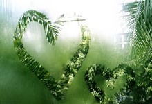 2025年度首场“NB10K城市跑步系列赛”成都站圆满完赛.